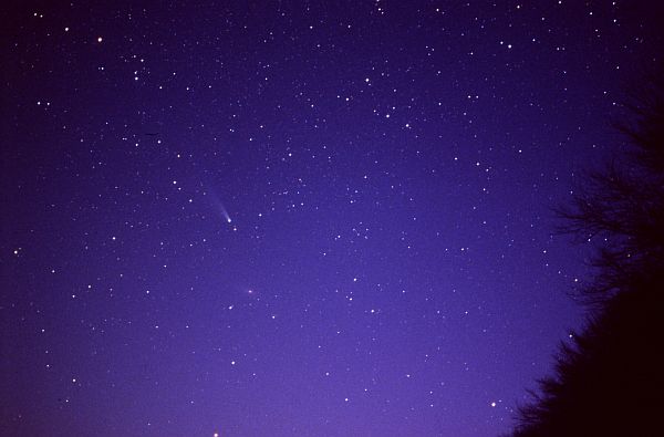 Ähnlich wie Komet Ikeya-Zhang im Jahr 2002 an M31 vorbeizog wird Komet Tuttle am 30. / 31.12.2007 an M33 vorbeiziehen.