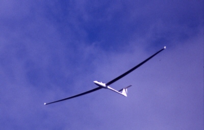 Segelflugzeug über Sonnenbühl