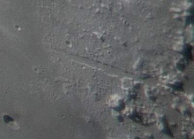 I photographed nearly all lunar craters visible from earth. 